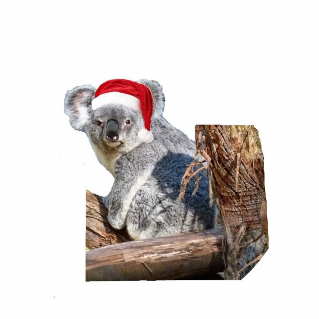 Koala Santa Fotobeeldje Ornament (Voorkant)