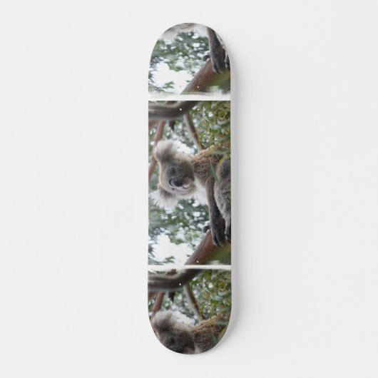 Koala Skateboard (Voorkant)