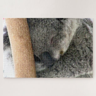 koala slaap legpuzzel