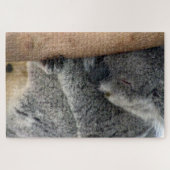 koala slaap legpuzzel (Horizontaal)