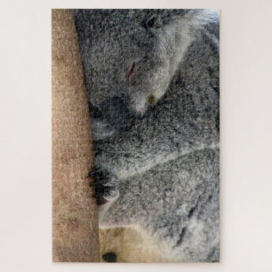 koala slaap legpuzzel
