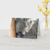 koala slaapt kaart (Gele Bloem)