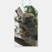 Koala - Sleeping Cadeaulabel (Voorkant)