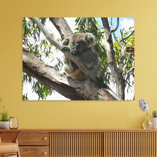 Koala - Sleeping Canvas Afdruk (Insitu (Woonkamer))
