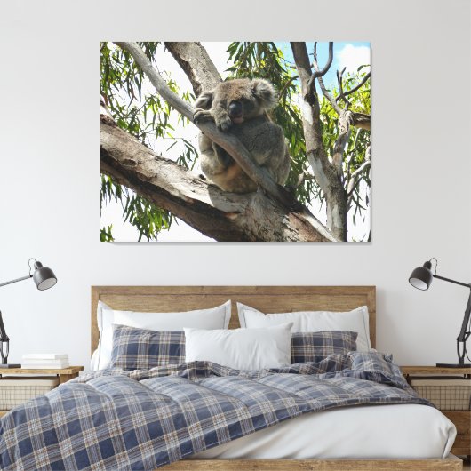 Koala - Sleeping Canvas Afdruk (Insitu (Slaapkamer))