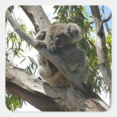 Koala - Sleeping Gift Labels (Voorkant)