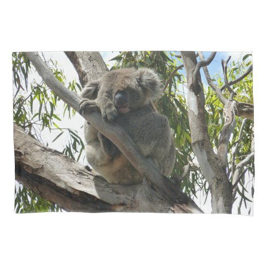 Koala - Sleeping Kussensloop (Voorkant)