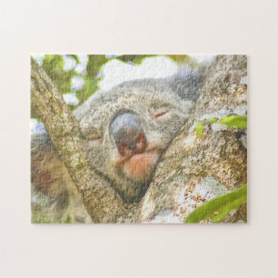 Koala Sleeping Legpuzzel