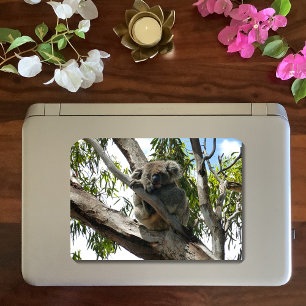 Koala - Sleeping Ronde Sticker