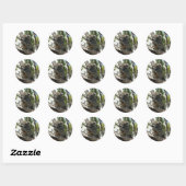 Koala - Sleeping Ronde Sticker (Vel)