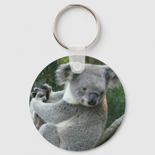 Koala Sleutelhanger (Voorkant)