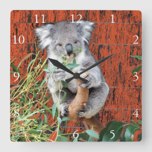 Koala Snack Time Clock Vierkante Klok