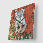 Koala Snack Time Clock Vierkante Klok (Hoek)
