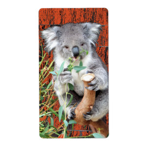 Koala Snack Time Return Label