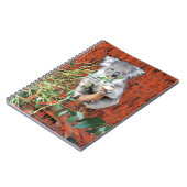 Koala Snack Time Spiral Carnet (Côté gauche)