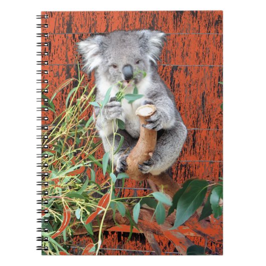 Koala Snack Time Spiral Notitieboek (Voorkant)