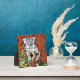 Koala Snack Time Table Top Plaque Fotoplaat