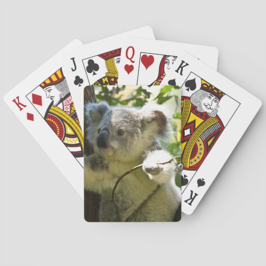koala speelkaarten (Achterkant)