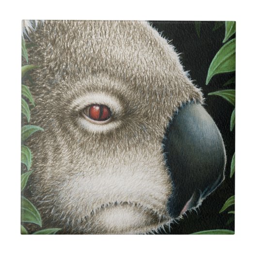 Koala Tile Tegeltje (Voorkant)