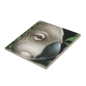 Koala Tile Tegeltje (Zijkant)