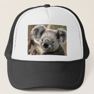 Koala Trucker Pet