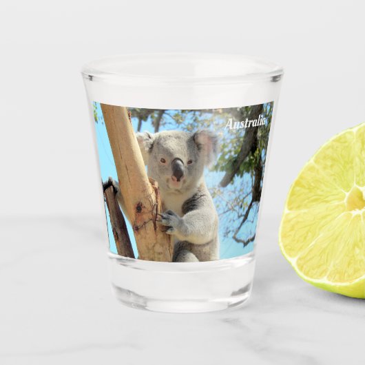 Koala uit Down under - Australia Shot Glass Glas (Voorkant)