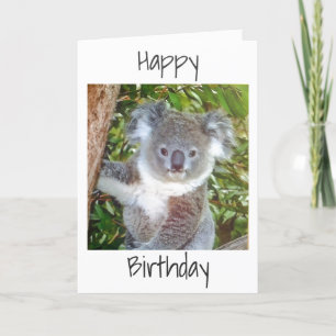 "KOALA VERJAARDAGSWENSEN" KAART