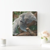 Koala Vierkante Klok (Huis)