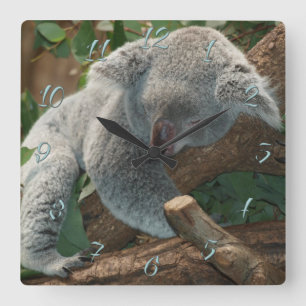 Koala Vierkante Klok