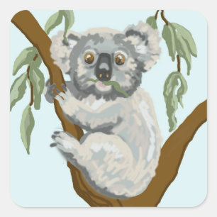 Koala Vierkante Sticker
