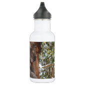 Koala Waterfles (Rechts)