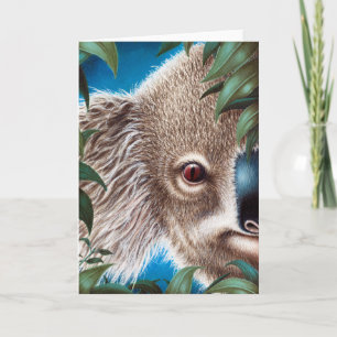 Koala Wenskaart Kaart