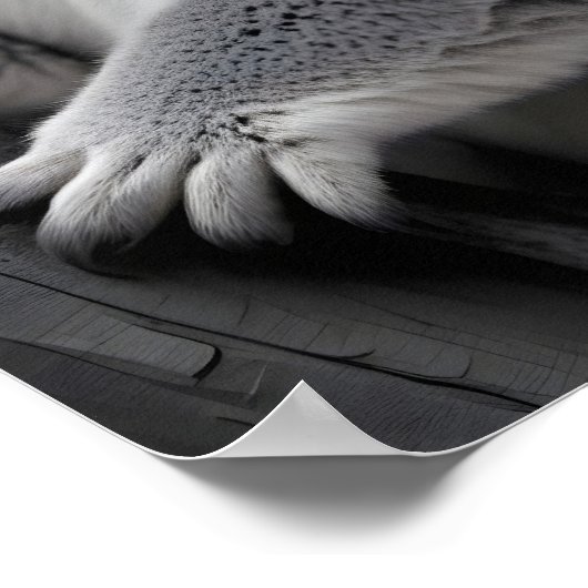 Koala Wildlife Majestic Nature Life Forest Poster (Coin)