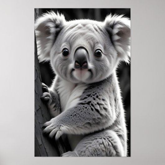 Koala Wildlife Majestic Nature Life Forest Poster (Devant)