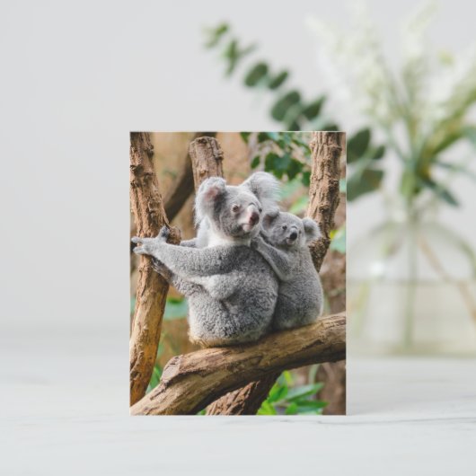 Koala with Baby in a Tree in Australia Briefkaart (Staand voorkant)