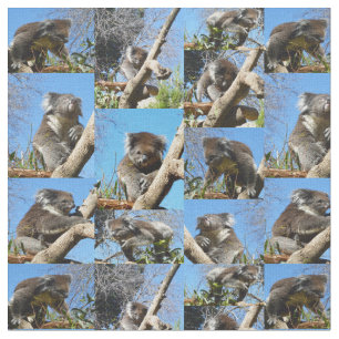 Koala Wonders: een hartverwarmende fotocollage Stof