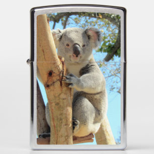 Koala Zippo
