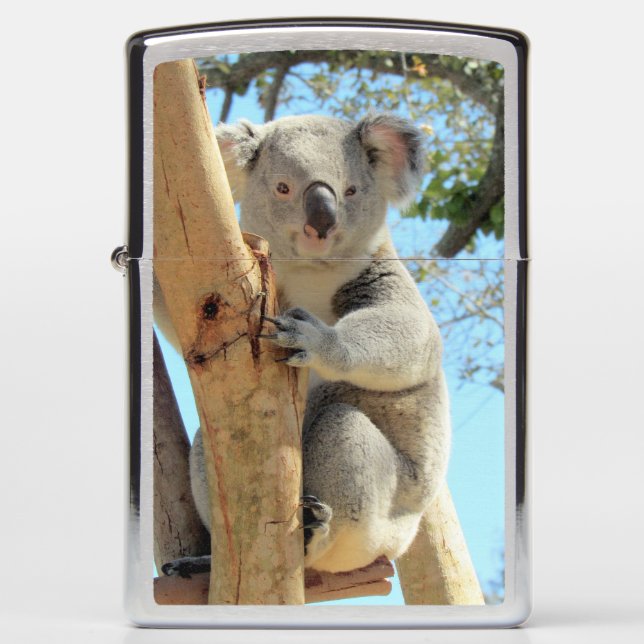 Koala Zippo Lighter (Voorkant)