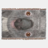 Koalabeer Deken (Voorkant)