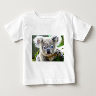 Koala's