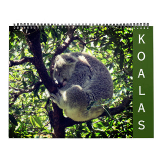Koala's 2025 grote kalender