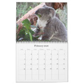 Koala's 2025 kalender (Feb 2026)