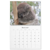 koalas 2027 grand calendrier (Mar 2027)