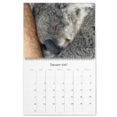 koalas 2027 grand calendrier (Jan 2027)