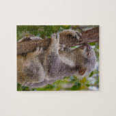 Koala's Australië Legpuzzel (Horizontaal)