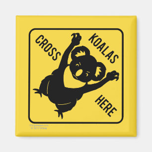 Koalas Cross Hier Magnet Magneet