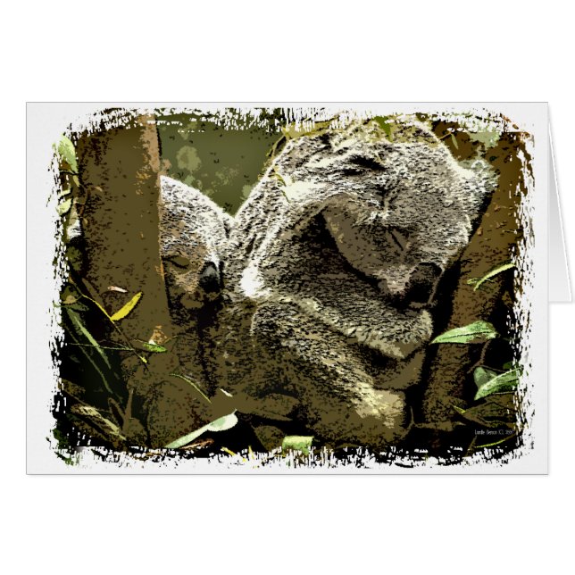 Koalas endormi (Devant horizontal)