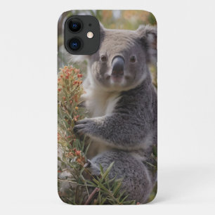 Koala's Haven: Genesteld in een Grevillea Tree iPhone 11 Hoesje