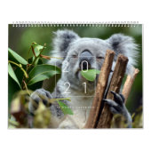 Koalendar kalender (Hoes)