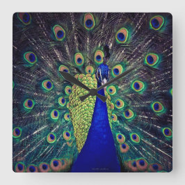 Kobalt Blue Peacock Vierkante Klok